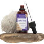 Lion's Mane Ekstrakt w płynie 50 ml