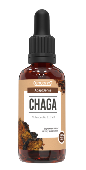 chaga_encann_50ml Wodno- alkoholowy ekstrakt z błyskoporka podkorowego Encann